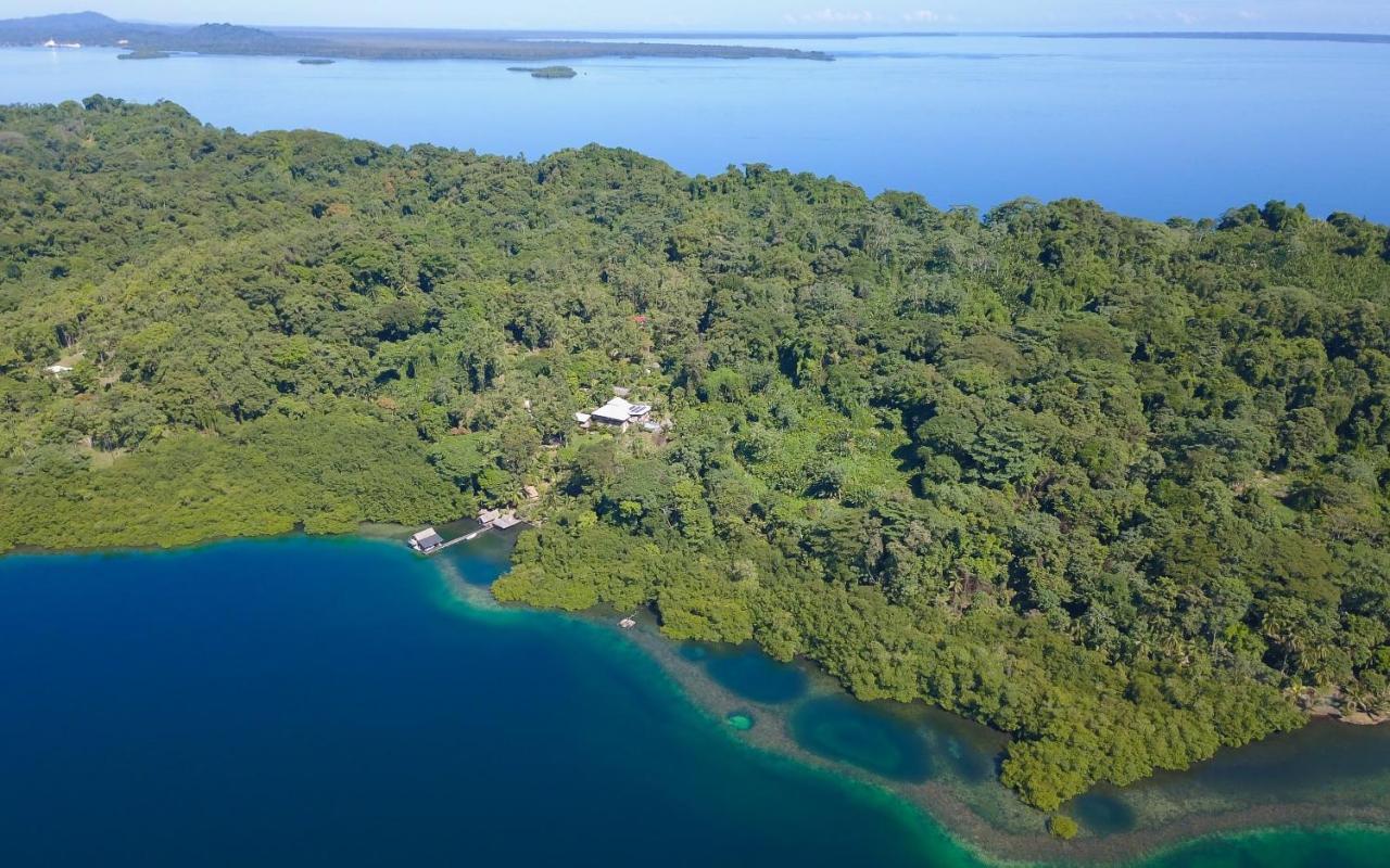 Finca Vela Lodge Bocas Town Ngoại thất bức ảnh