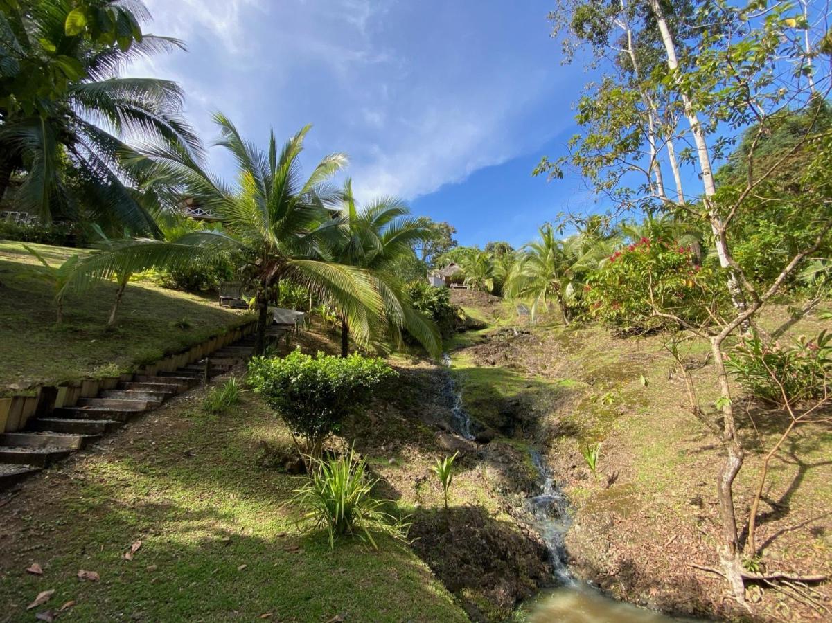 Finca Vela Lodge Bocas Town Ngoại thất bức ảnh