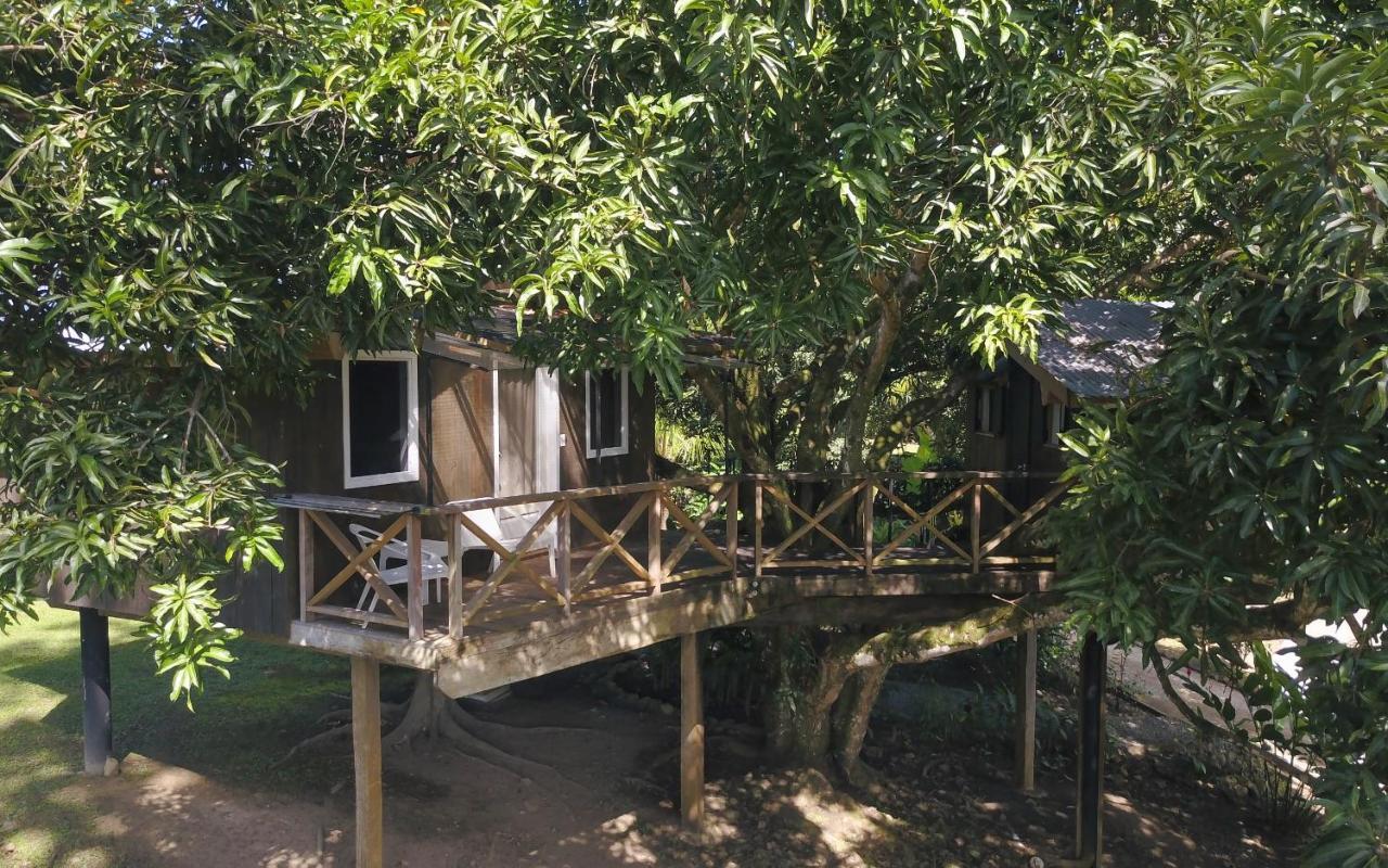 Finca Vela Lodge Bocas Town Ngoại thất bức ảnh