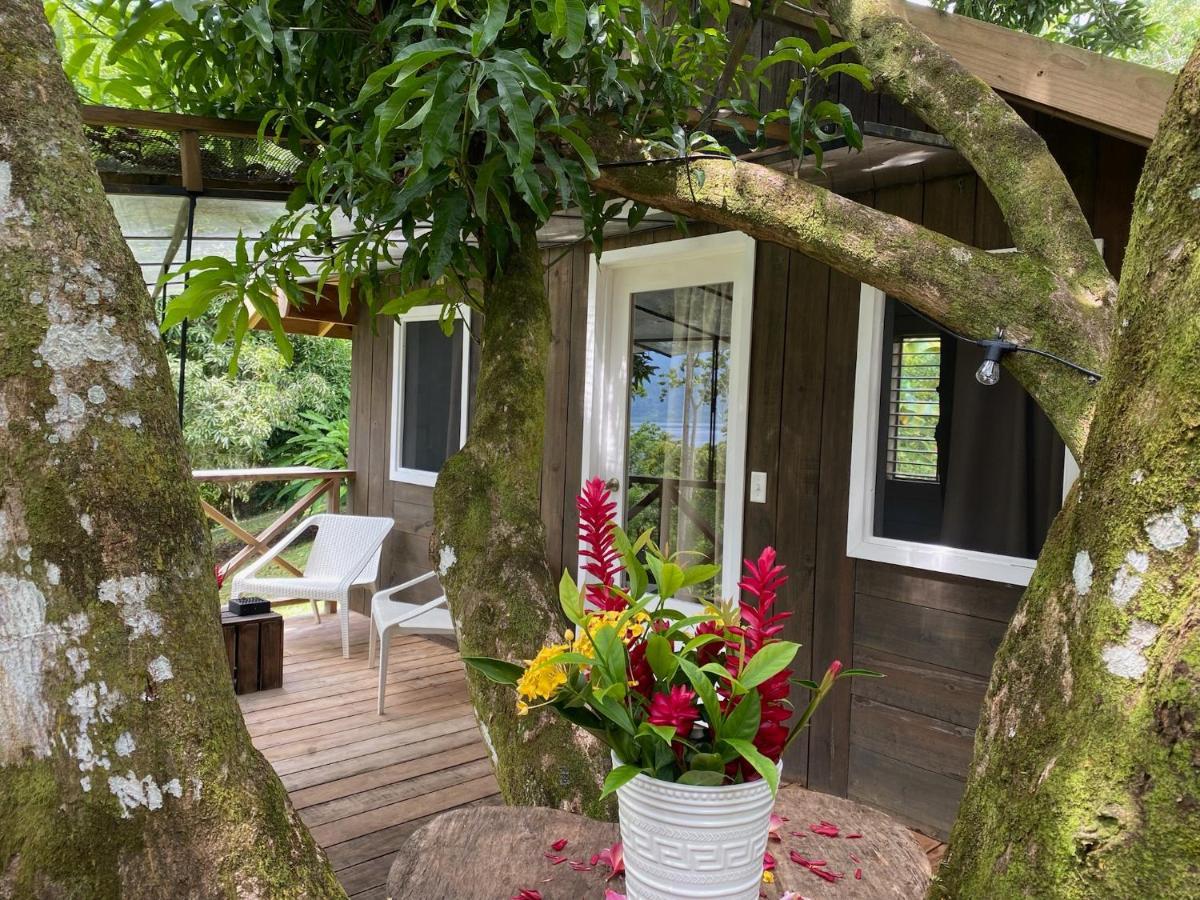Finca Vela Lodge Bocas Town Ngoại thất bức ảnh