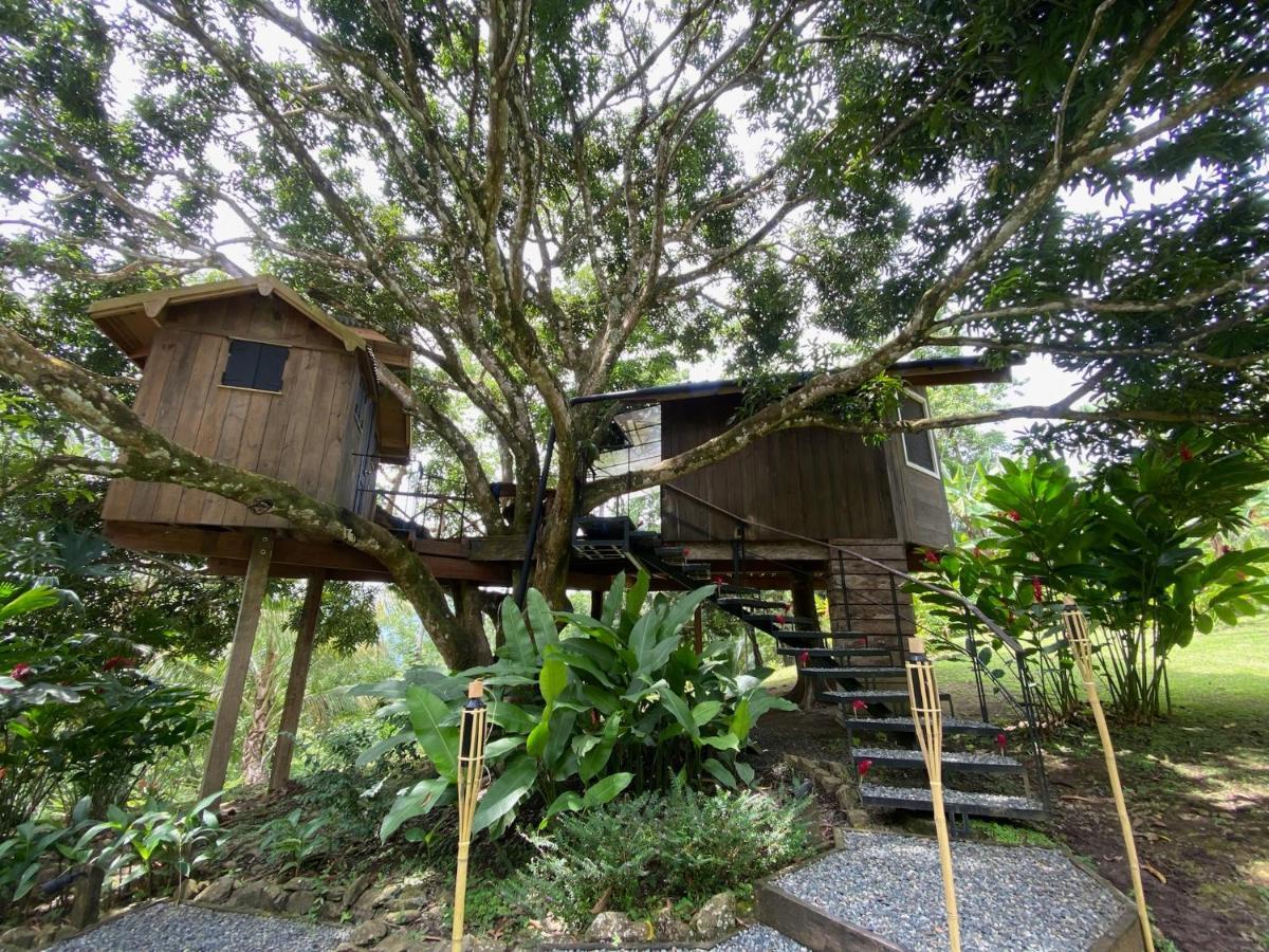 Finca Vela Lodge Bocas Town Ngoại thất bức ảnh