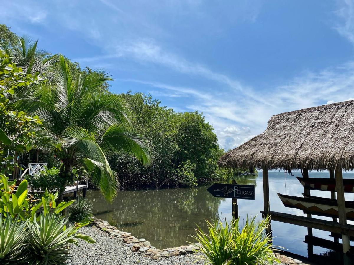 Finca Vela Lodge Bocas Town Ngoại thất bức ảnh