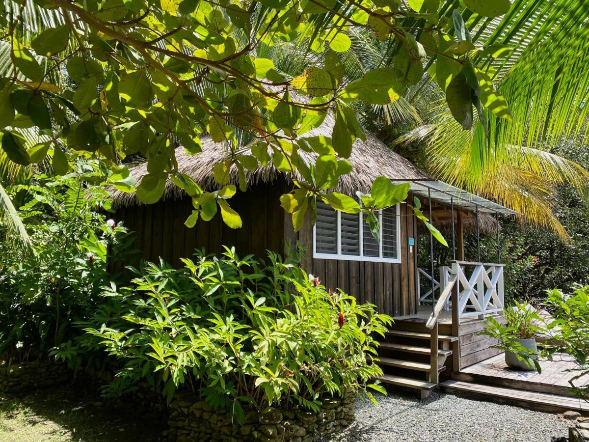 Finca Vela Lodge Bocas Town Ngoại thất bức ảnh