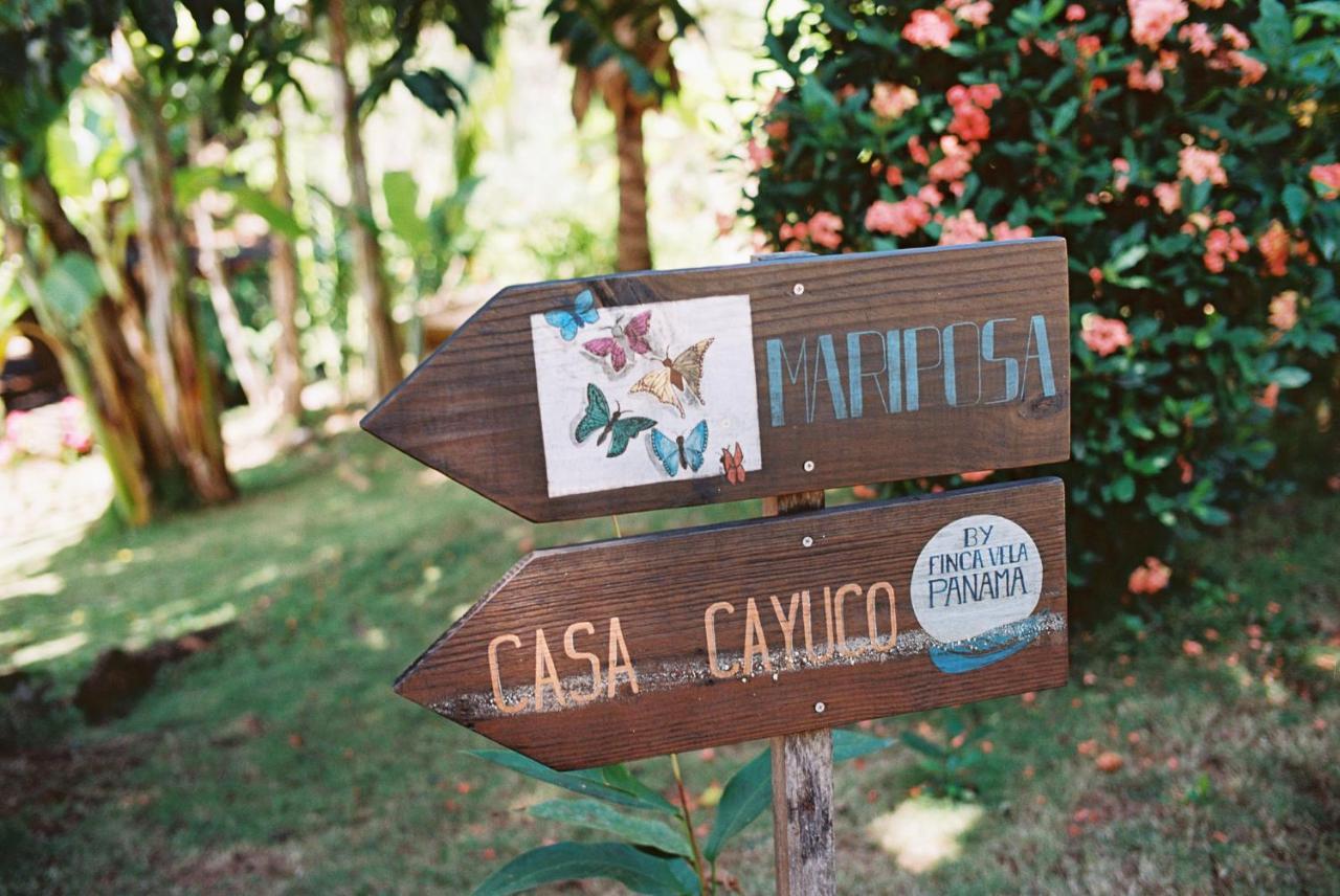 Finca Vela Lodge Bocas Town Ngoại thất bức ảnh