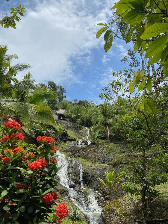 Finca Vela Lodge Bocas Town Ngoại thất bức ảnh