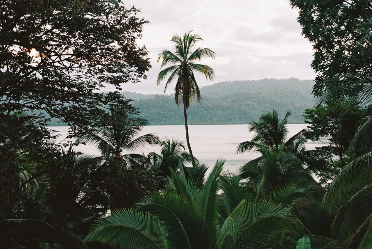 Finca Vela Lodge Bocas Town Ngoại thất bức ảnh
