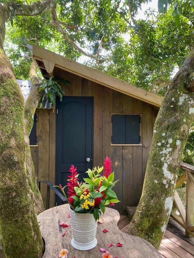 Finca Vela Lodge Bocas Town Ngoại thất bức ảnh