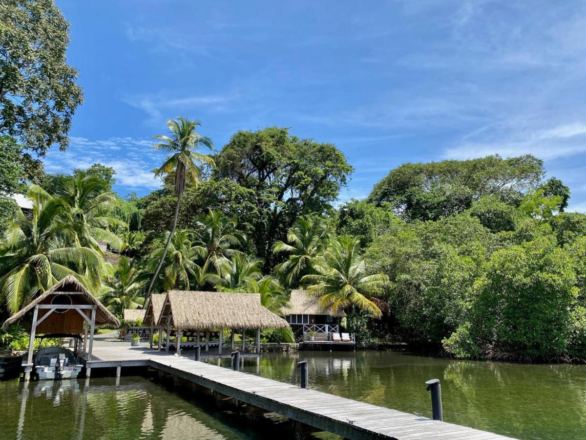 Finca Vela Lodge Bocas Town Ngoại thất bức ảnh