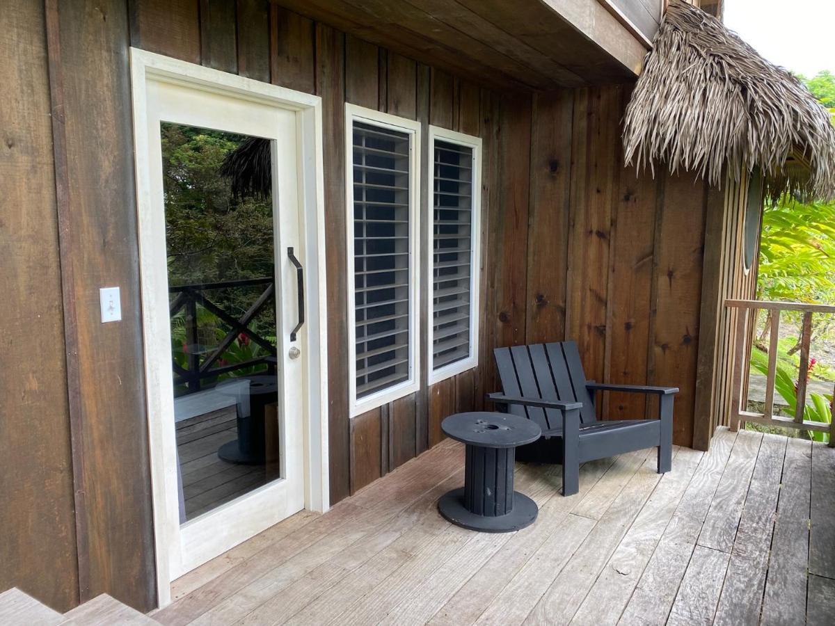 Finca Vela Lodge Bocas Town Ngoại thất bức ảnh