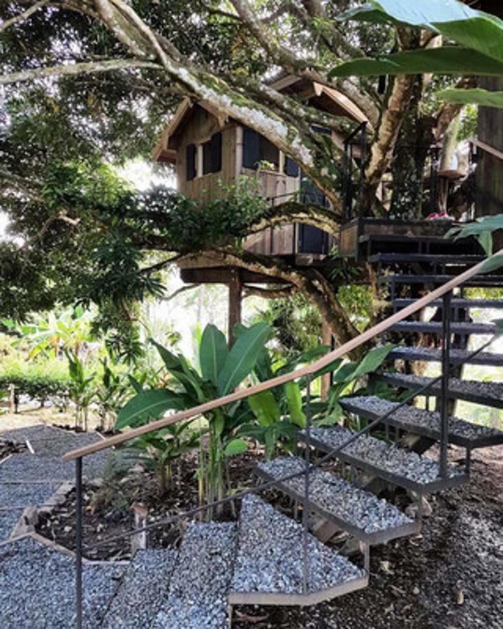 Finca Vela Lodge Bocas Town Phòng bức ảnh